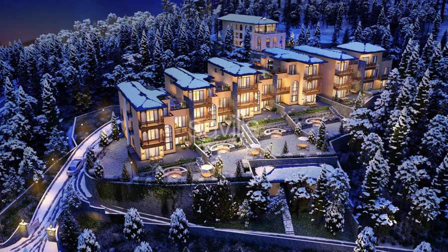 Vvie Villas Naldehra: Luxury Boutique Villas in Shimla